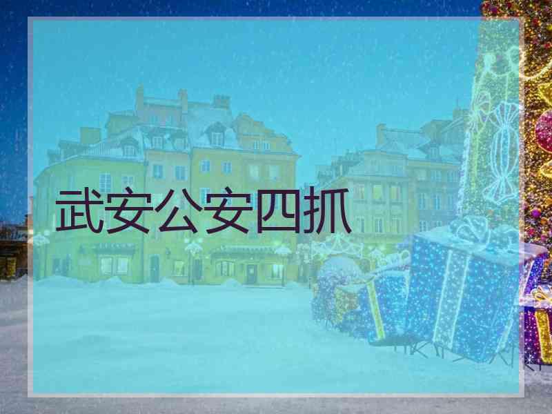 武安公安四抓