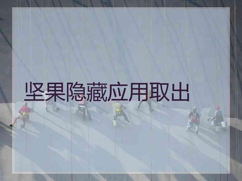 坚果隐藏应用取出