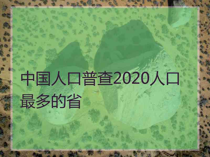 中国人口普查2020人口最多的省