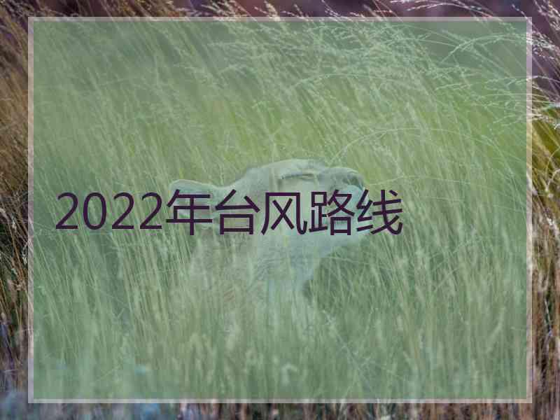 2022年台风路线