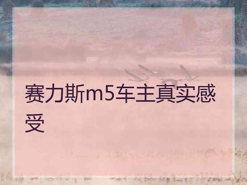 赛力斯m5车主真实感受