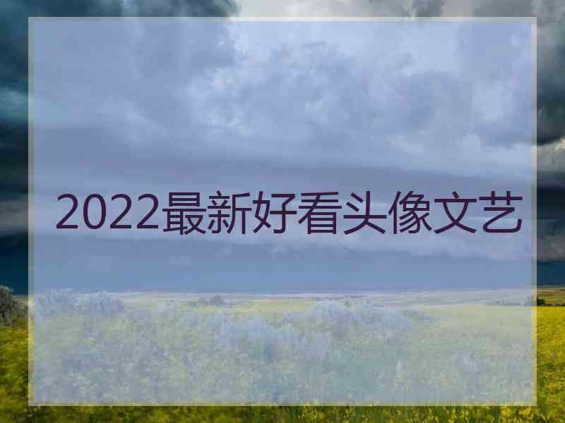 2022最新好看头像文艺