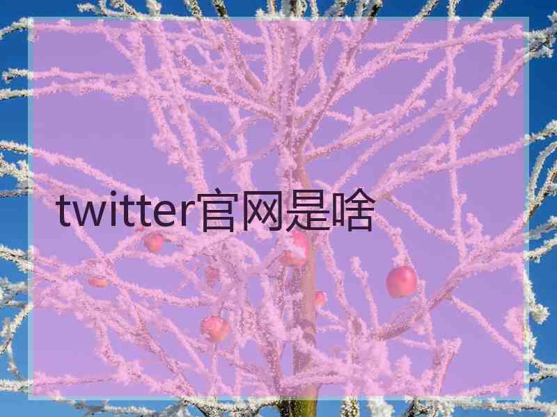 twitter官网是啥