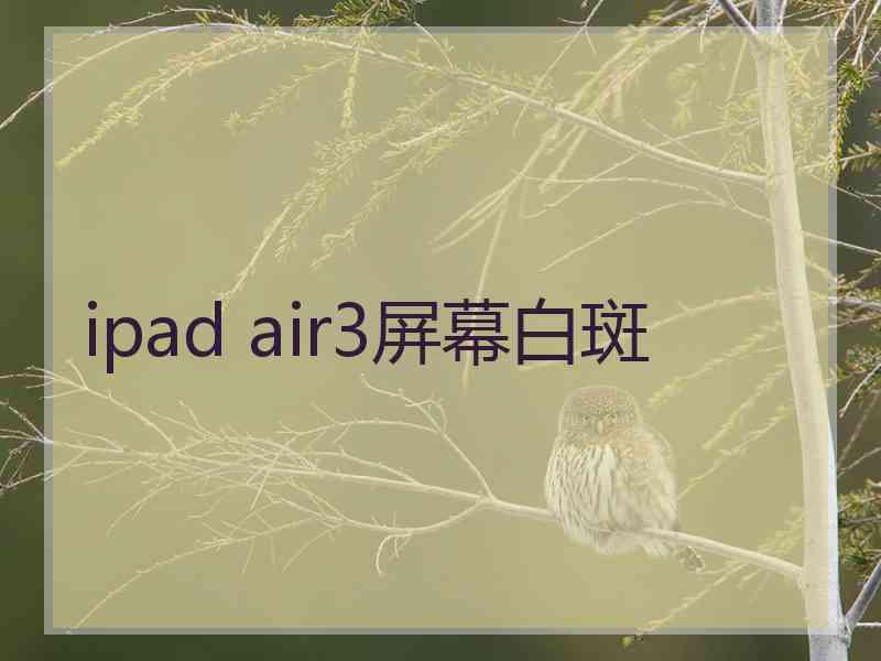 ipad air3屏幕白斑