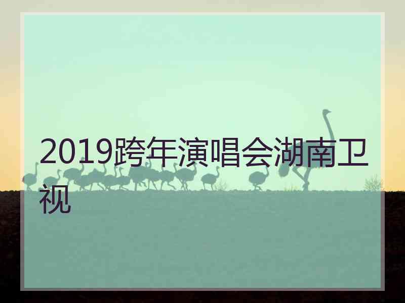 2019跨年演唱会湖南卫视