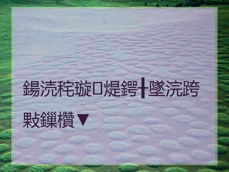 鍚涜秺璇煶鍔╂墜浣跨敤鏁欑▼