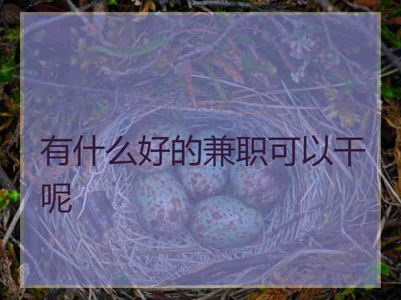 有什么好的兼职可以干呢