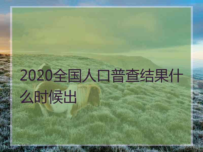 2020全国人口普查结果什么时候出