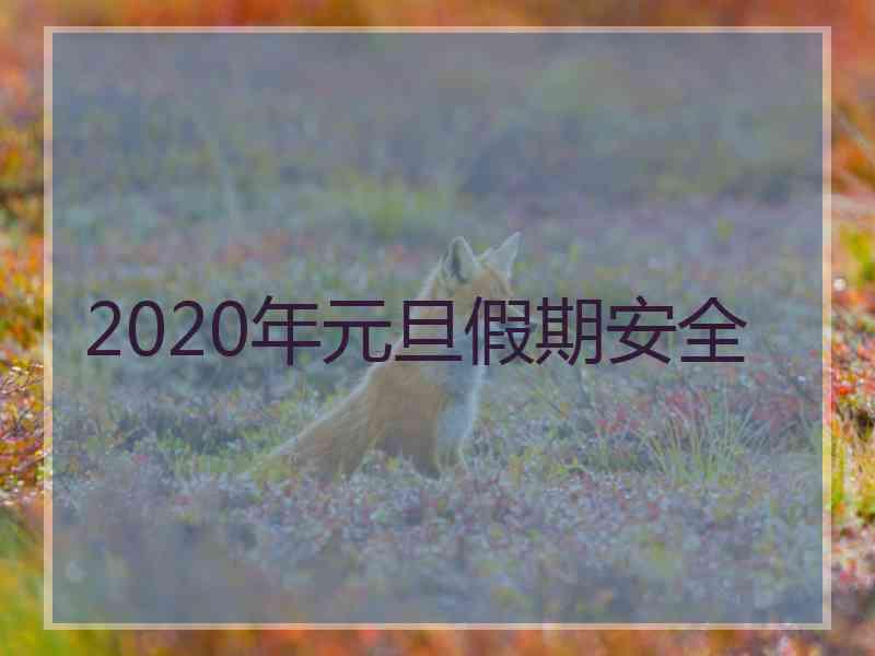 2020年元旦假期安全