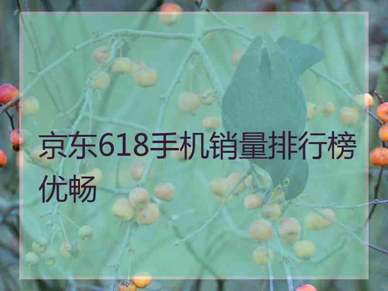 京东618手机销量排行榜优畅