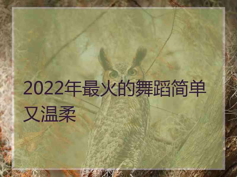 2022年最火的舞蹈简单又温柔