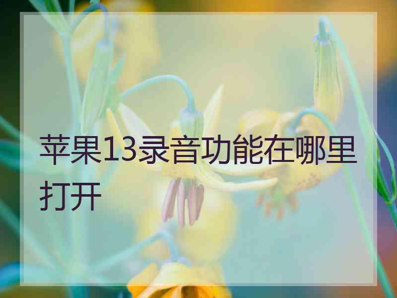 苹果13录音功能在哪里打开