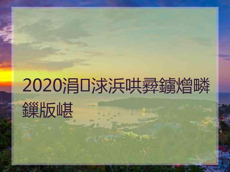 2020涓浗浜哄彛鐪熷疄鏁版嵁