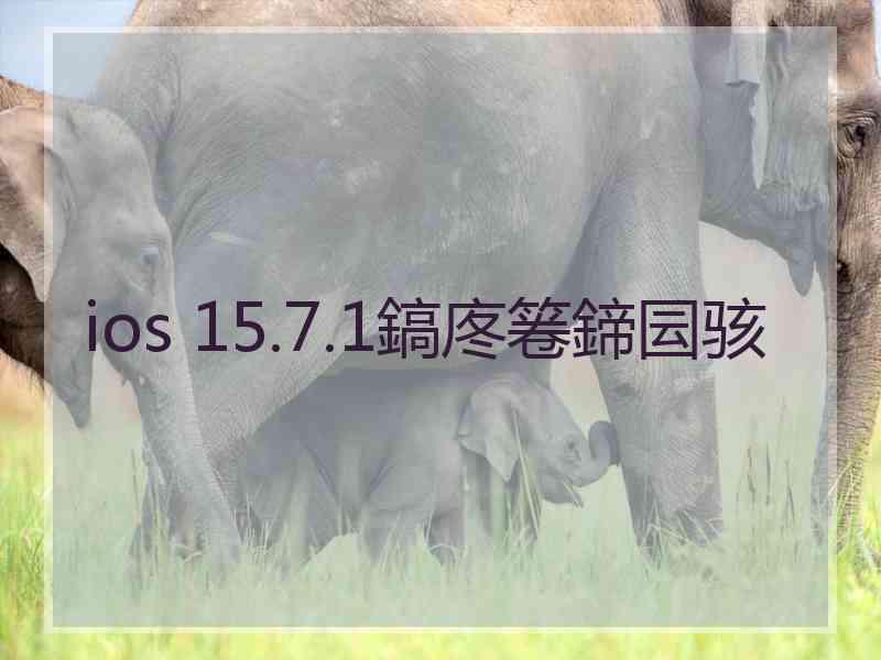 ios 15.7.1鎬庝箞鍗囩骇