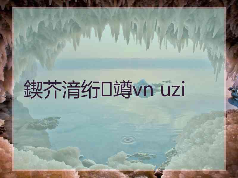 鍥芥湇绗竴vn uzi