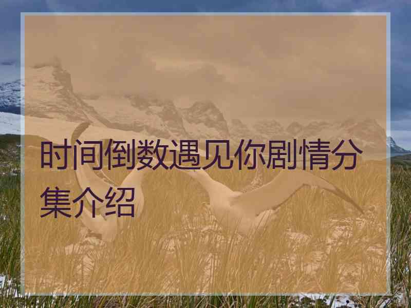 时间倒数遇见你剧情分集介绍