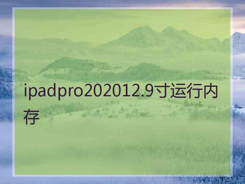 ipadpro202012.9寸运行内存