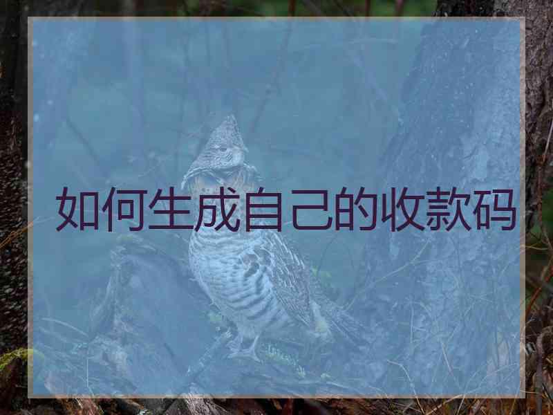 如何生成自己的收款码