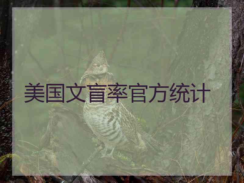 美国文盲率官方统计