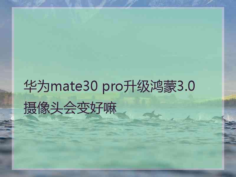 华为mate30 pro升级鸿蒙3.0摄像头会变好嘛
