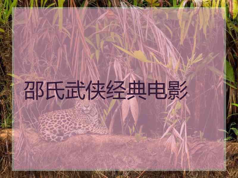 邵氏武侠经典电影