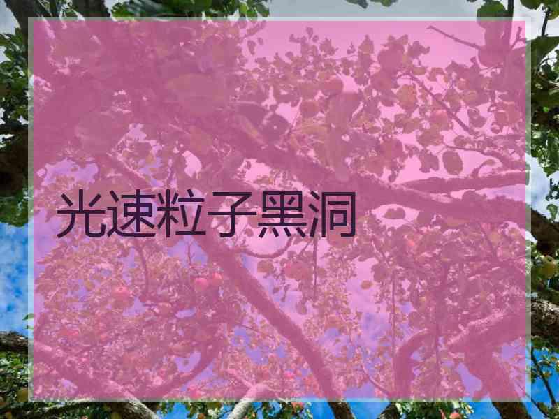 光速粒子黑洞