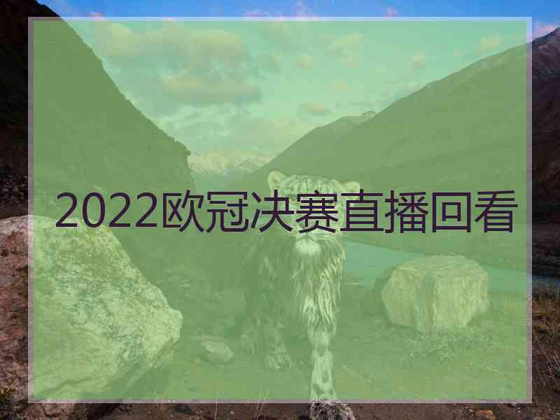 2022欧冠决赛直播回看