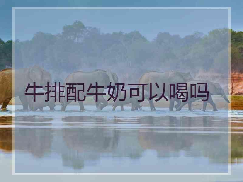 牛排配牛奶可以喝吗