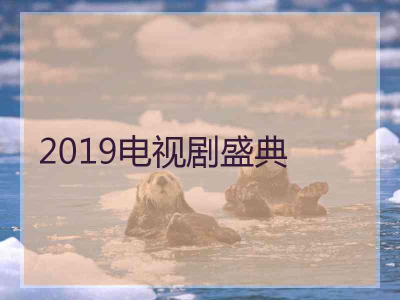 2019电视剧盛典
