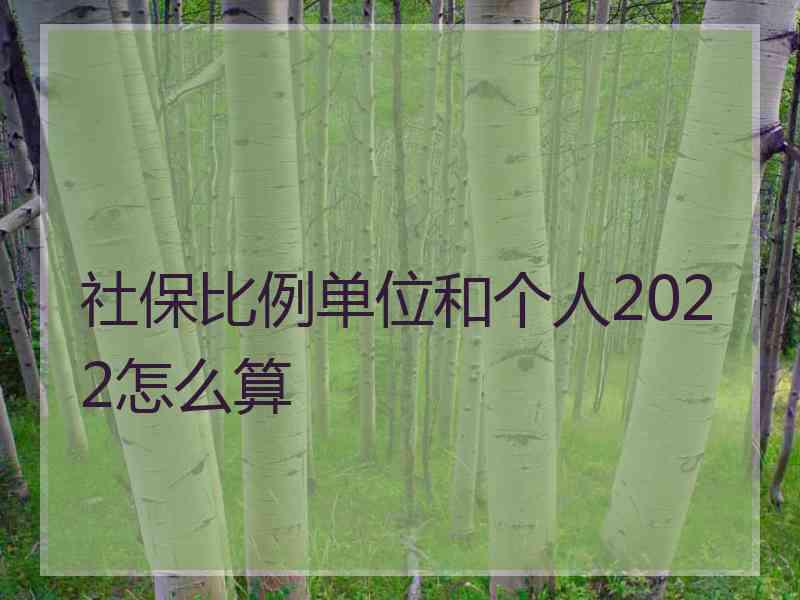 社保比例单位和个人2022怎么算