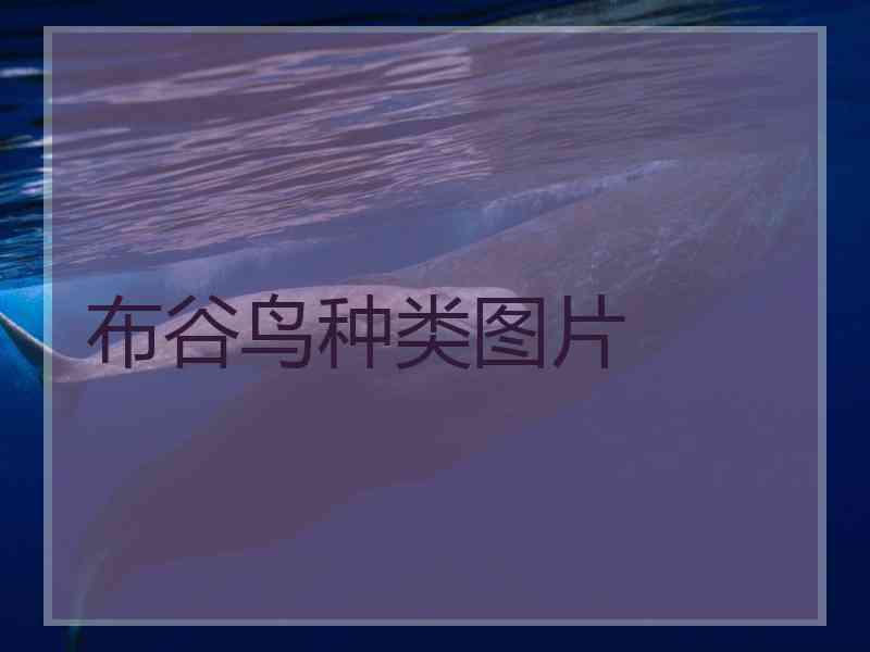 布谷鸟种类图片