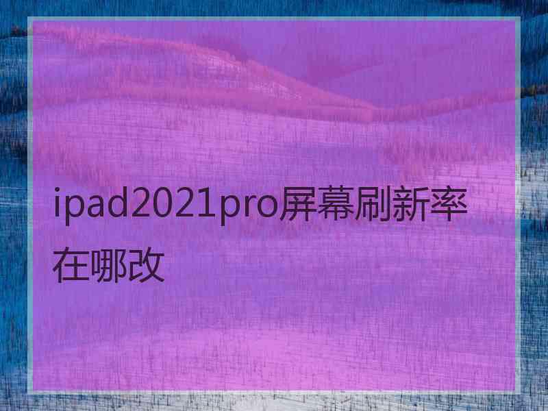 ipad2021pro屏幕刷新率在哪改