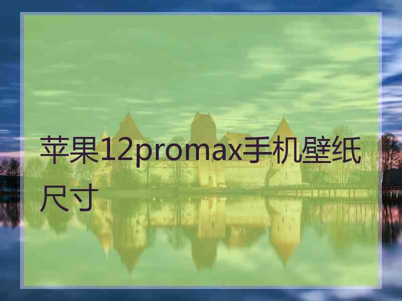苹果12promax手机壁纸尺寸