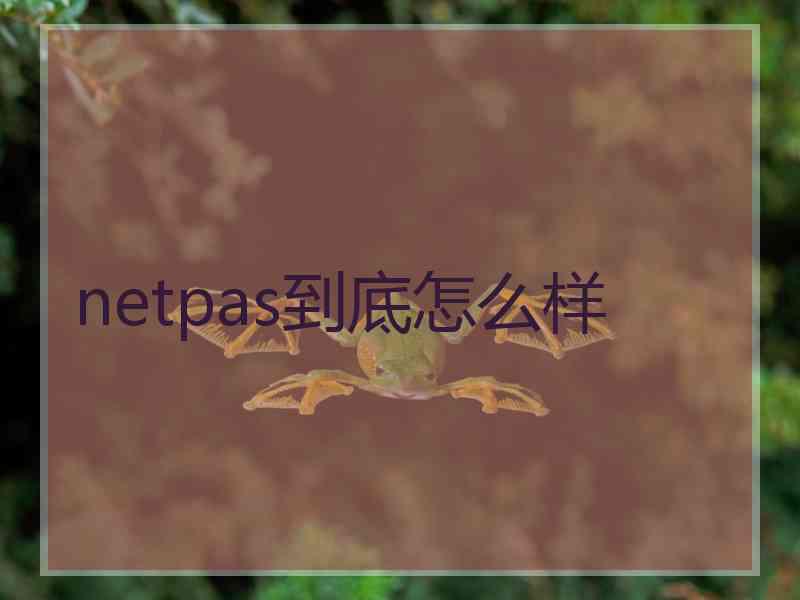 netpas到底怎么样
