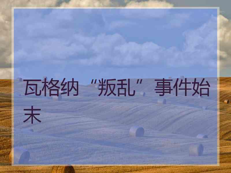 瓦格纳“叛乱”事件始末
