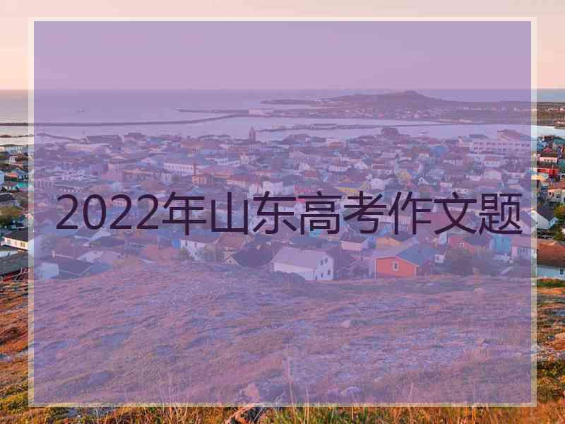 2022年山东高考作文题