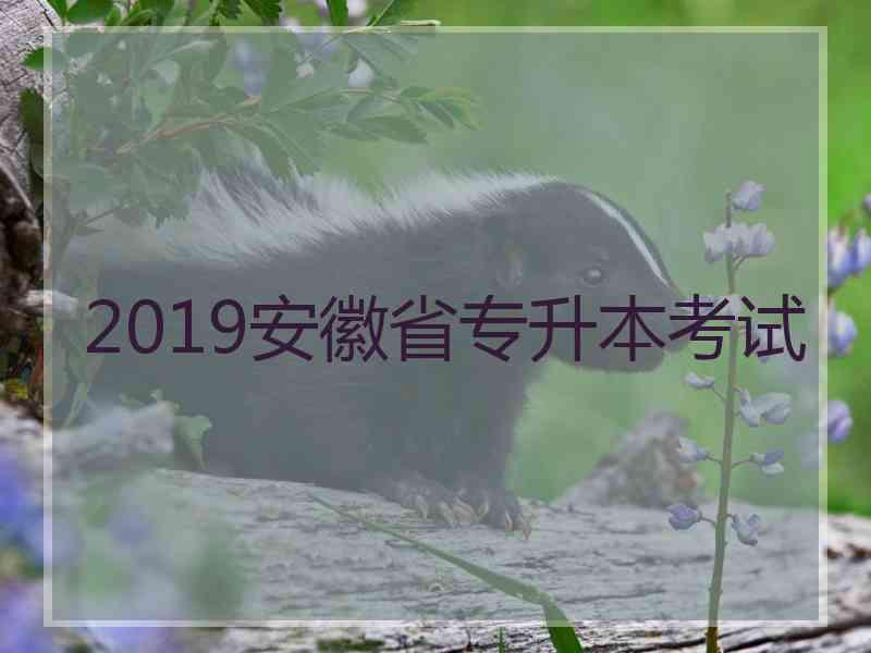 2019安徽省专升本考试