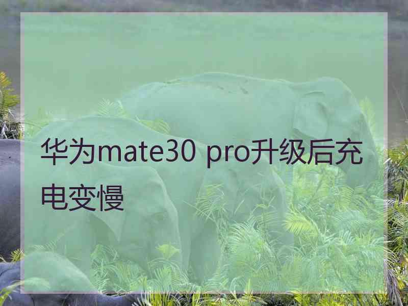 华为mate30 pro升级后充电变慢