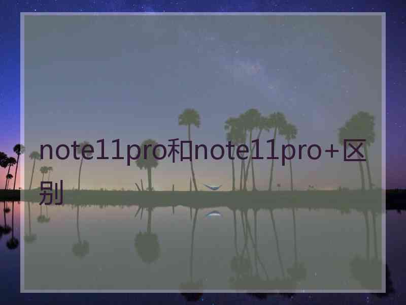 note11pro和note11pro+区别