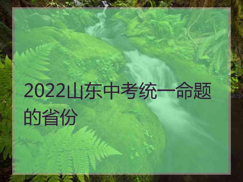 2022山东中考统一命题的省份