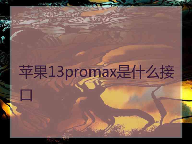 苹果13promax是什么接口