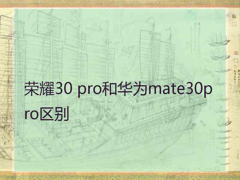 荣耀30 pro和华为mate30pro区别