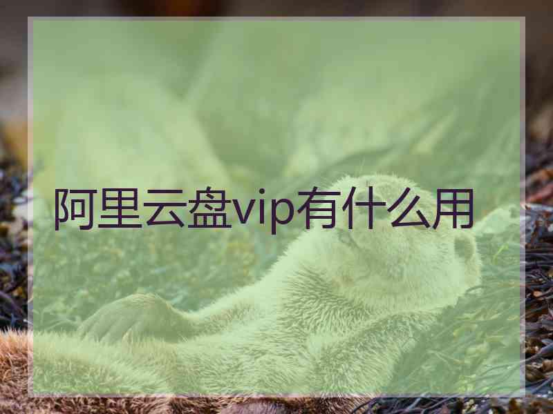 阿里云盘vip有什么用
