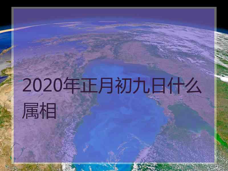 2020年正月初九日什么属相