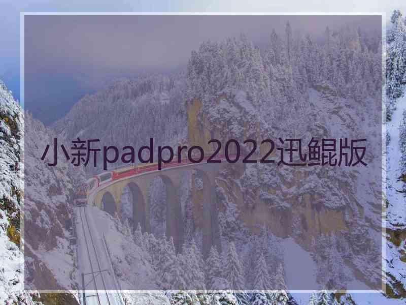 小新padpro2022迅鲲版