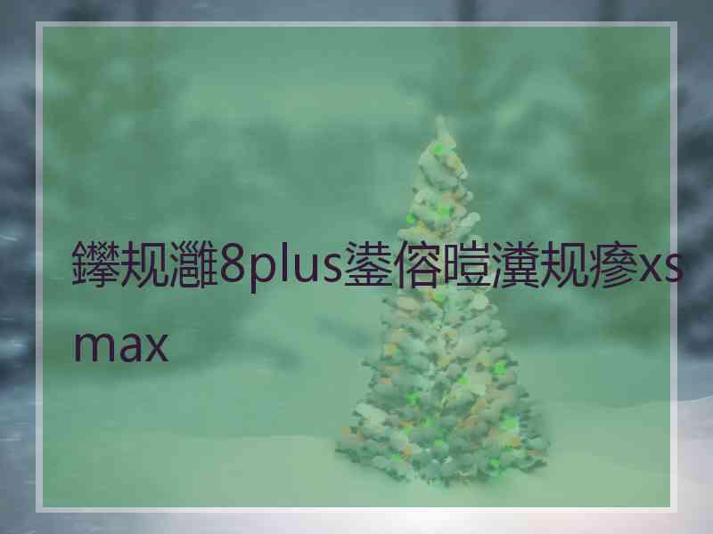 鑻规灉8plus鍙傛暟瀵规瘮xsmax
