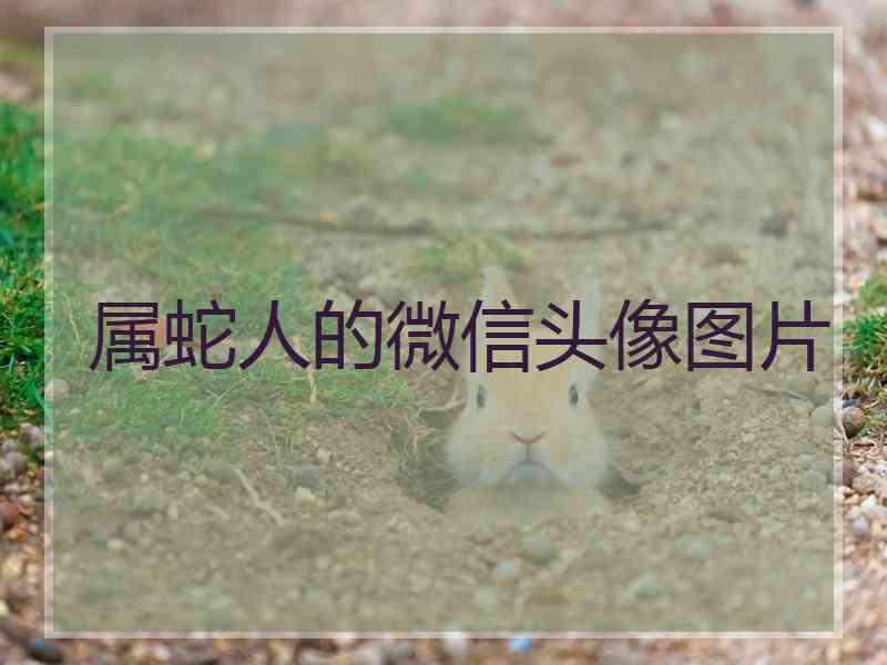 属蛇人的微信头像图片