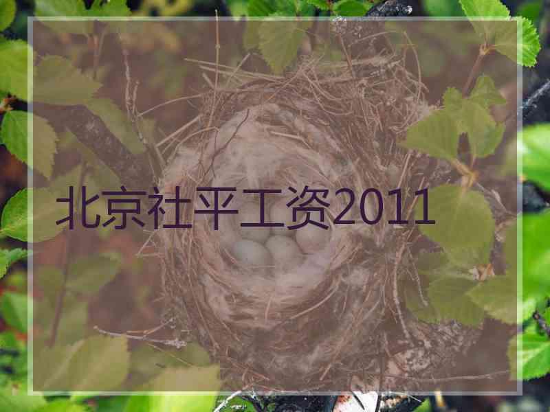 北京社平工资2011