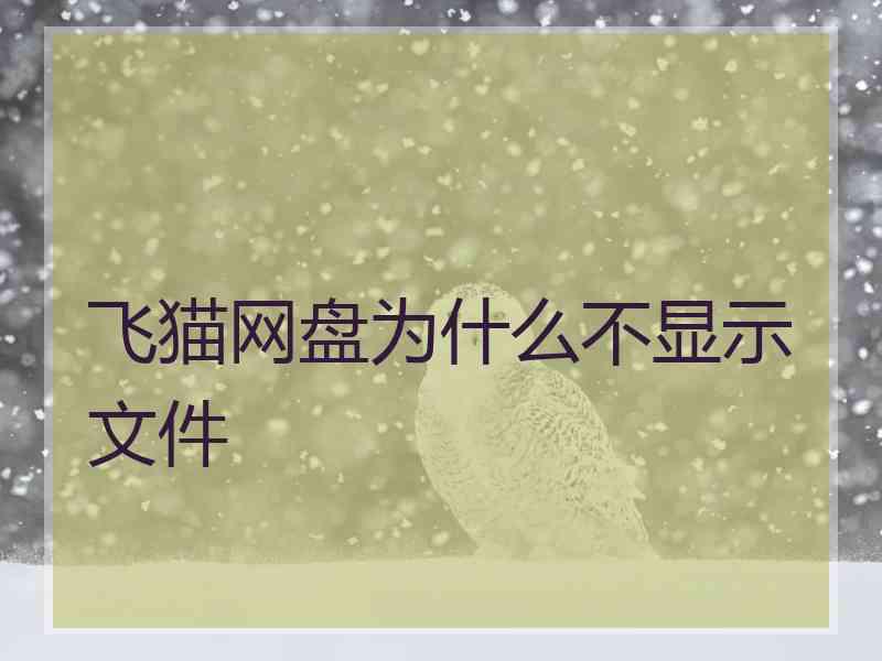 飞猫网盘为什么不显示文件