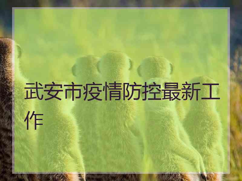 武安市疫情防控最新工作